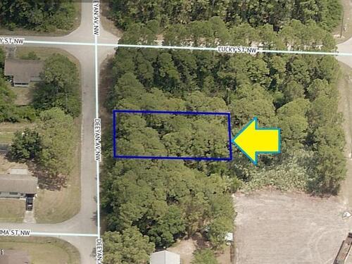 185 Deeyan Avenue NW, Palm Bay, FL 32907