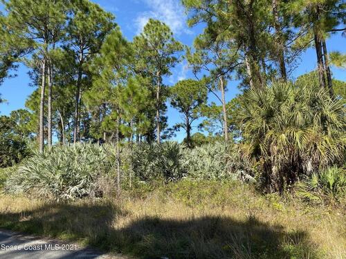 371 Mott Street SW, Palm Bay, FL 32908