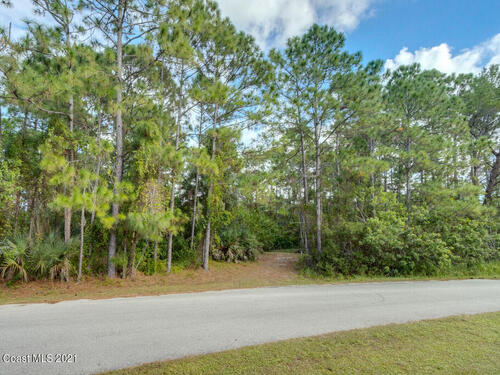 319 Gordon Road NW, Palm Bay, FL 32907