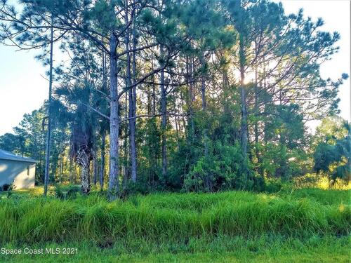 2107 Randall Avenue SE, Palm Bay, FL 32909