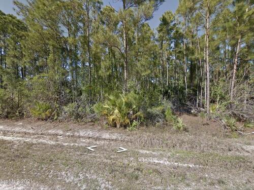 419 Olney Street, Palm Bay, FL 32908