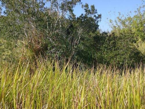 2342 Landrum Avenue SW, Palm Bay, FL 32908