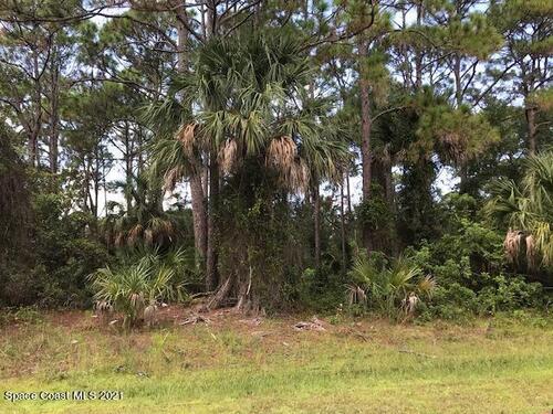 178 Wellsley Avenue SW, Palm Bay, FL 32908