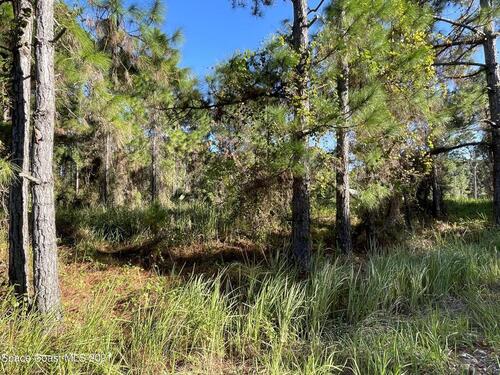 3231 Halblum Avenue SE, Palm Bay, FL 32909