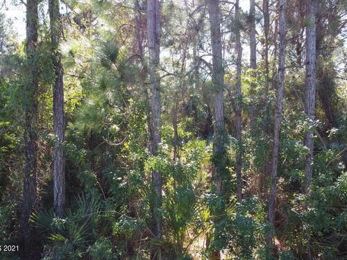 1230 Daton Road SW, Palm Bay, FL 32908