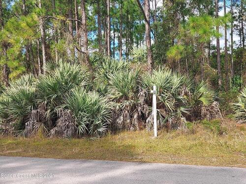 423 Scodella Street SW, Palm Bay, FL 32908