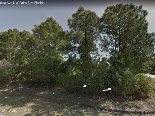 1909 Carolina/Siboney Lane, Palm Bay, FL 32907