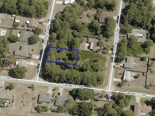 407 Carolina Avenue NW, Palm Bay, FL 32907