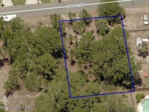 1850 Cajeput Court NW, Palm Bay, FL 32907