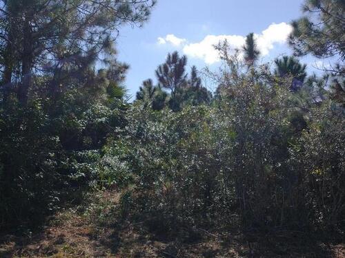 1909 Unknown, Palm Bay, FL 32908