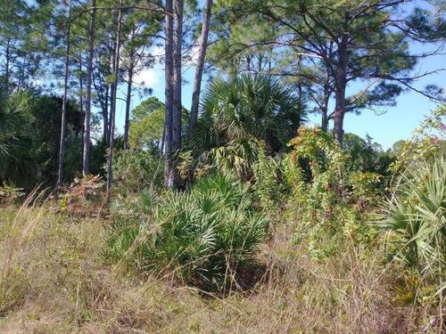 2742 Fling Avenue SE, Palm Bay, FL 32909