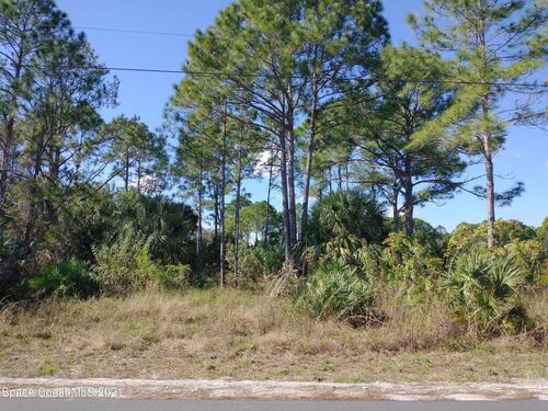 323 Paigo Street SE, Palm Bay, FL 32909