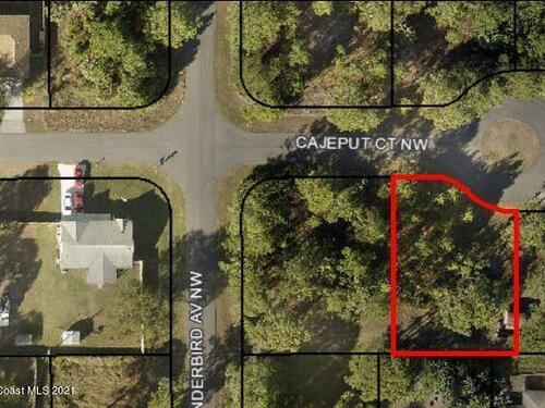 1818 Cajeput Court NW, Palm Bay, FL 32907