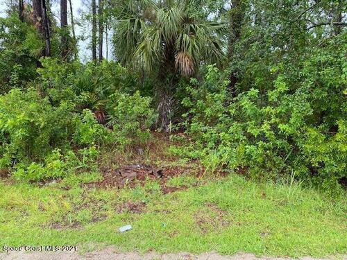 3217 SE Wallace Avenue SE, Palm Bay, FL 32909