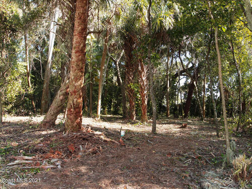 3985 Vanguard Avenue, Titusville, FL 32780