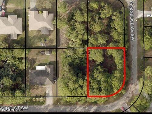 Tdb Corner Of Foxglove / Franzing Drive SW, Palm Bay, FL 32908