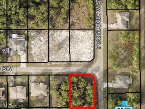 Tdb Corner Of Foxglove And Haines Drive SW, Palm Bay, FL 32908