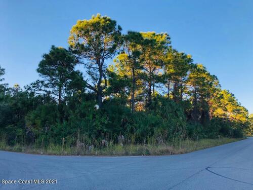 0000 Firethorn Road NW, Palm Bay, FL 32907