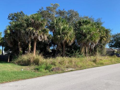 541 Dinner Street NE, Palm Bay, FL 32907