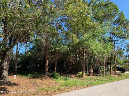 251 Buccaneer Street NE, Palm Bay, FL 32907