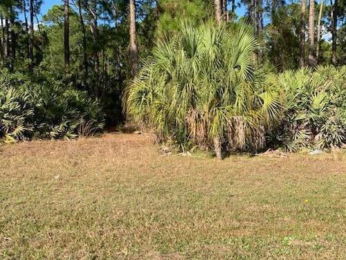 00000 Unknown Drive NW, Palm Bay, FL 32907