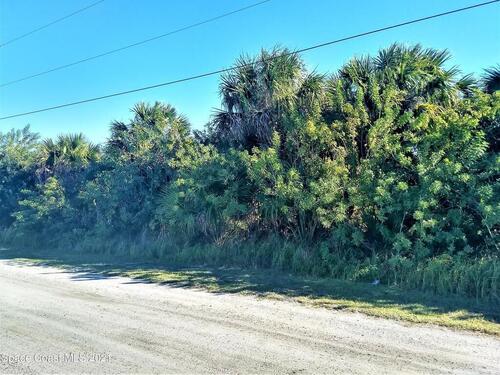 2123 Begonia Avenue SW, Palm Bay, FL 32908