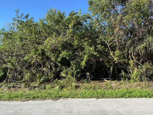 2819 Alexander Avenue NE, Palm Bay, FL 32905