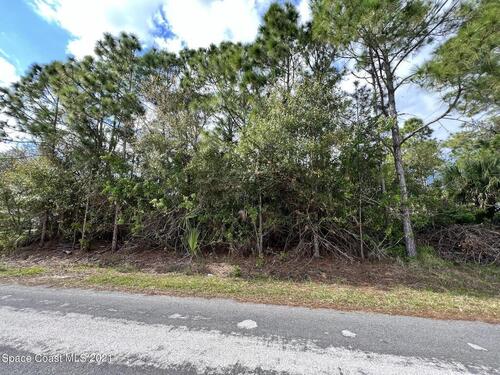 288 Delake Road NW, Palm Bay, FL 32907