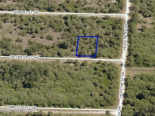 629 Saltwater Street SW, Palm Bay, FL 32908