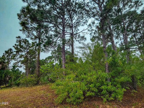 0000 Unknown, Palm Bay, FL 32908