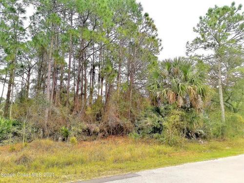 815 Buchanan Avenue SE, Palm Bay, FL 32909