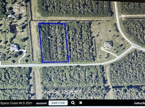 312 Buckskin Street, Palm Bay, FL 32909