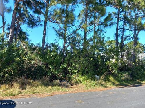 1163 Venus Street SE, Palm Bay, FL 32909