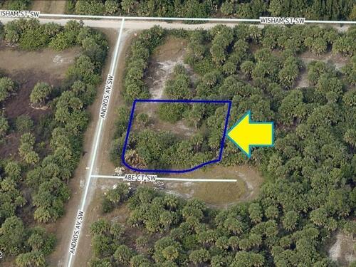0000 Corner Lot Abe Ct And Andros Avenue SW, Palm Bay, FL 32908