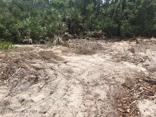 736 Daysland Avenue SW, Palm Bay, FL 32908