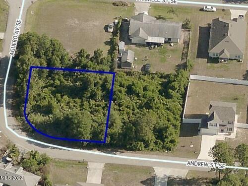0000 SE Andrew St/Aguero Ave Street, Palm Bay, FL 32909