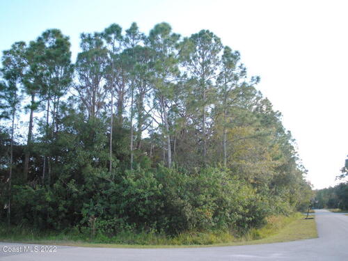 698 White Cloud Street SW, Palm Bay, FL 32908