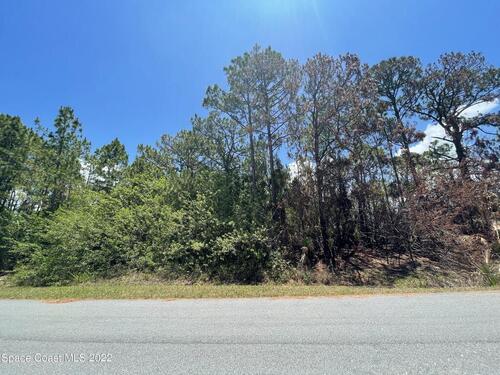 1876 NW Red Bud Circle, Palm Bay, FL 32907