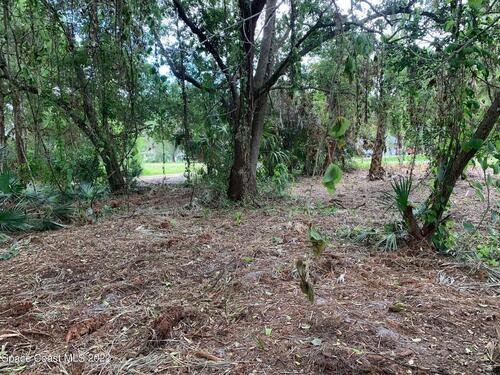 4060 Peppertree Street, Cocoa, FL 32926