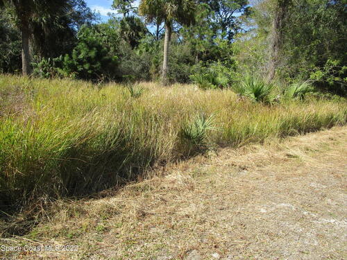 110 Ware Avenue SW, Palm Bay, FL 32908