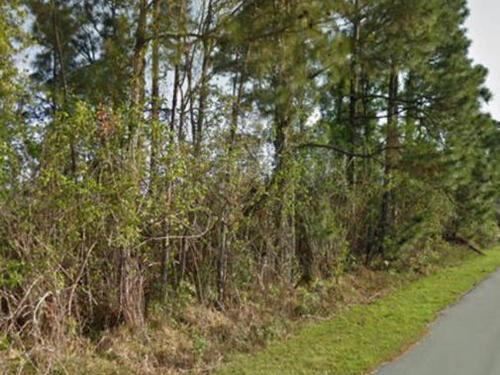 1343 Palau Street SE, Palm Bay, FL 32909