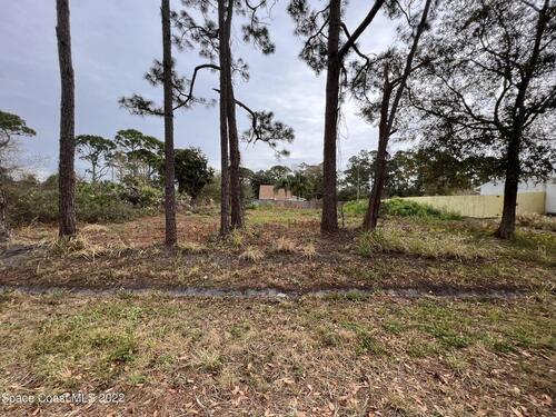 1563 Leeward Avenue SE, Palm Bay, FL 32909