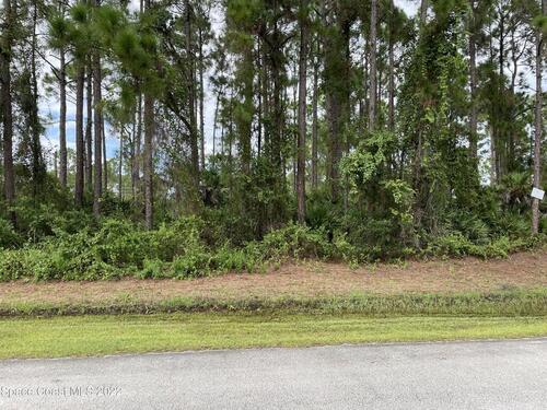 723 Schrader Avenue SW, Palm Bay, FL 32908