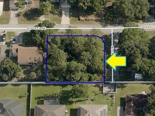 198 Corner Lot On Olivick Circle NE, Palm Bay, FL 32907
