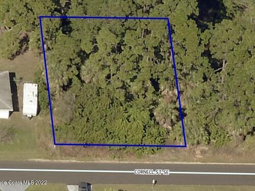 743 Cornell Street SE, Palm Bay, FL 32909