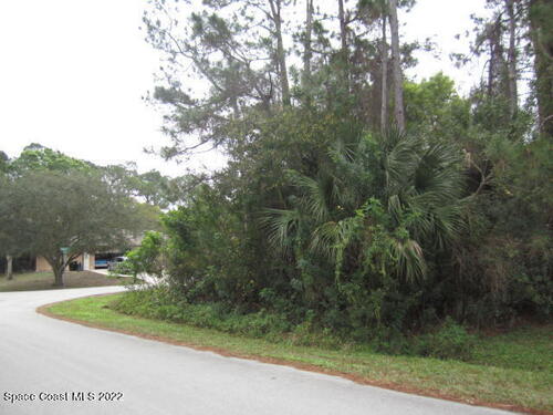 Tbd Corner Talplin Rd & Damon St Street SE, Palm Bay, FL 32909