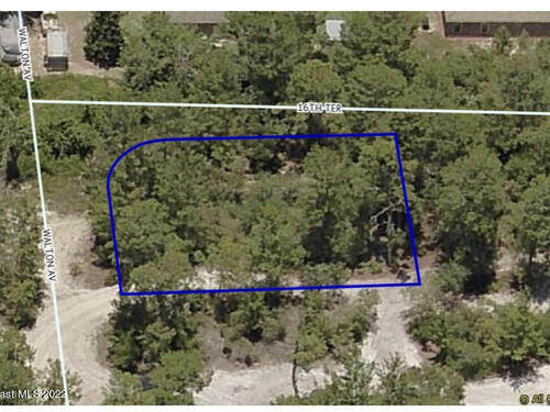 5205 Walton Avenue, Titusville, FL 32780