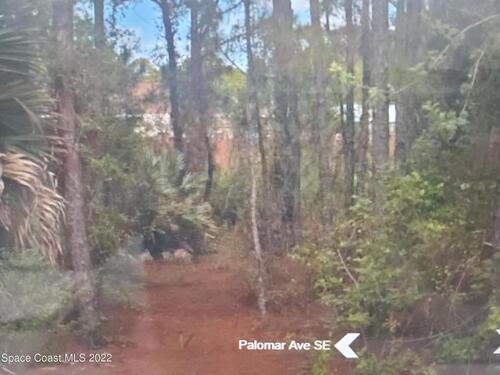 2627 Palomar Avenue SE, Palm Bay, FL 32909