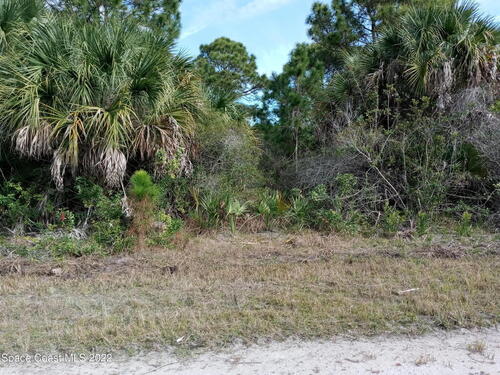 729 Sandpiper Street SW, Palm Bay, FL 32908