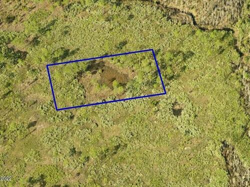 Unknown, Mims, FL 32754